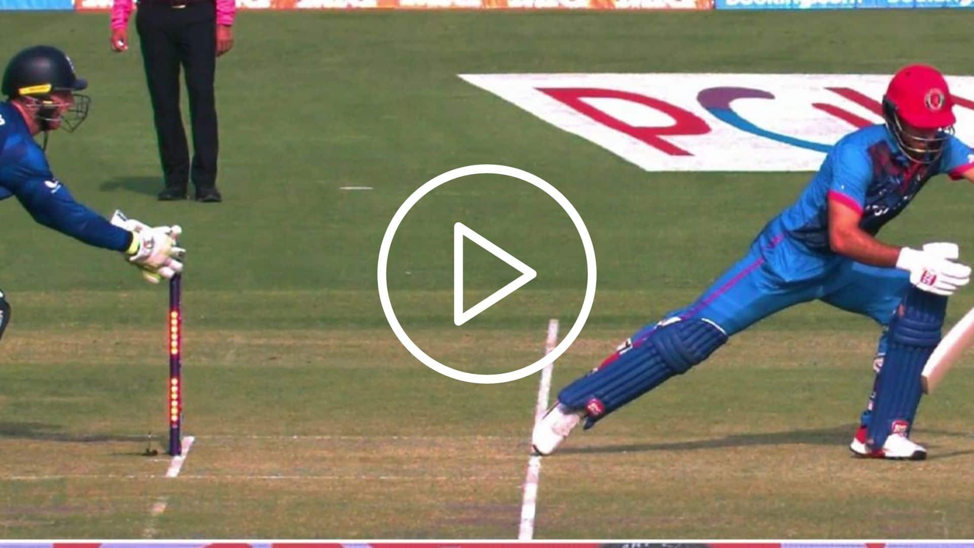 [Watch] Jos Buttler's Rapid Dhoni-Style Stumping Sends Afghanistan's Rahmat Shah Packing